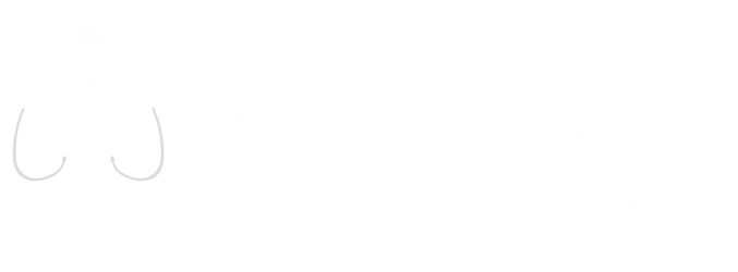 Prof. Dr. Sibel Naycı